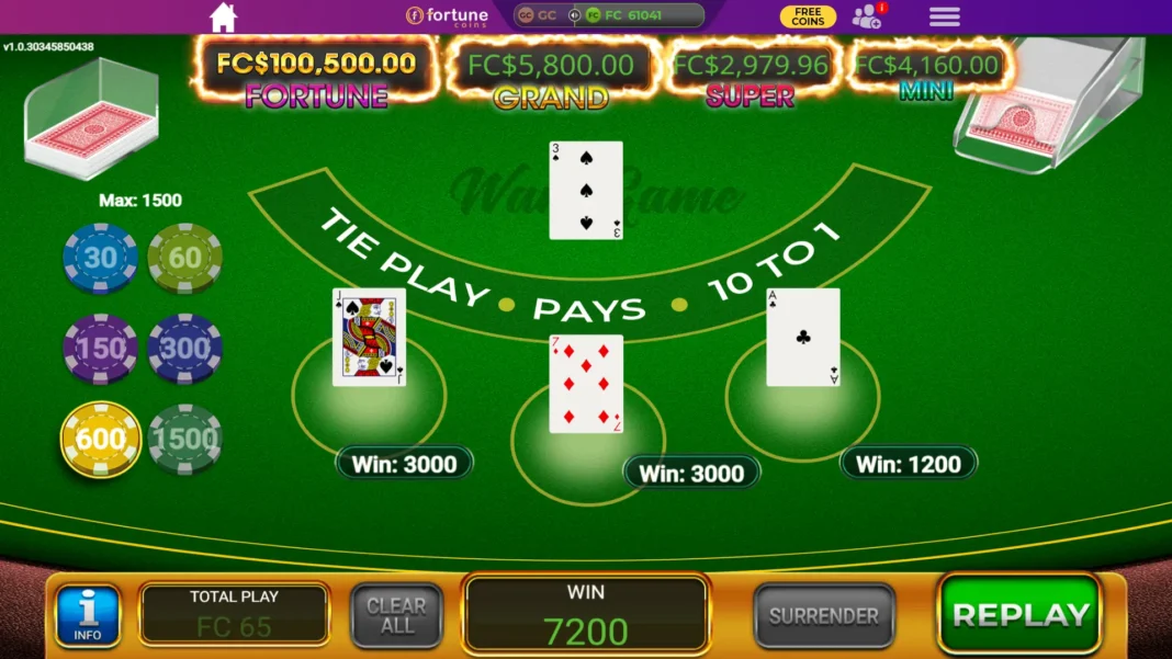 Fortune Coins review
